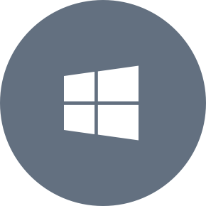Icon - Microsoft Windows
